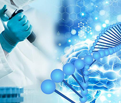 长沙DNA鉴定中心如何预约，长沙正规的亲子鉴定服务机构怎么选择